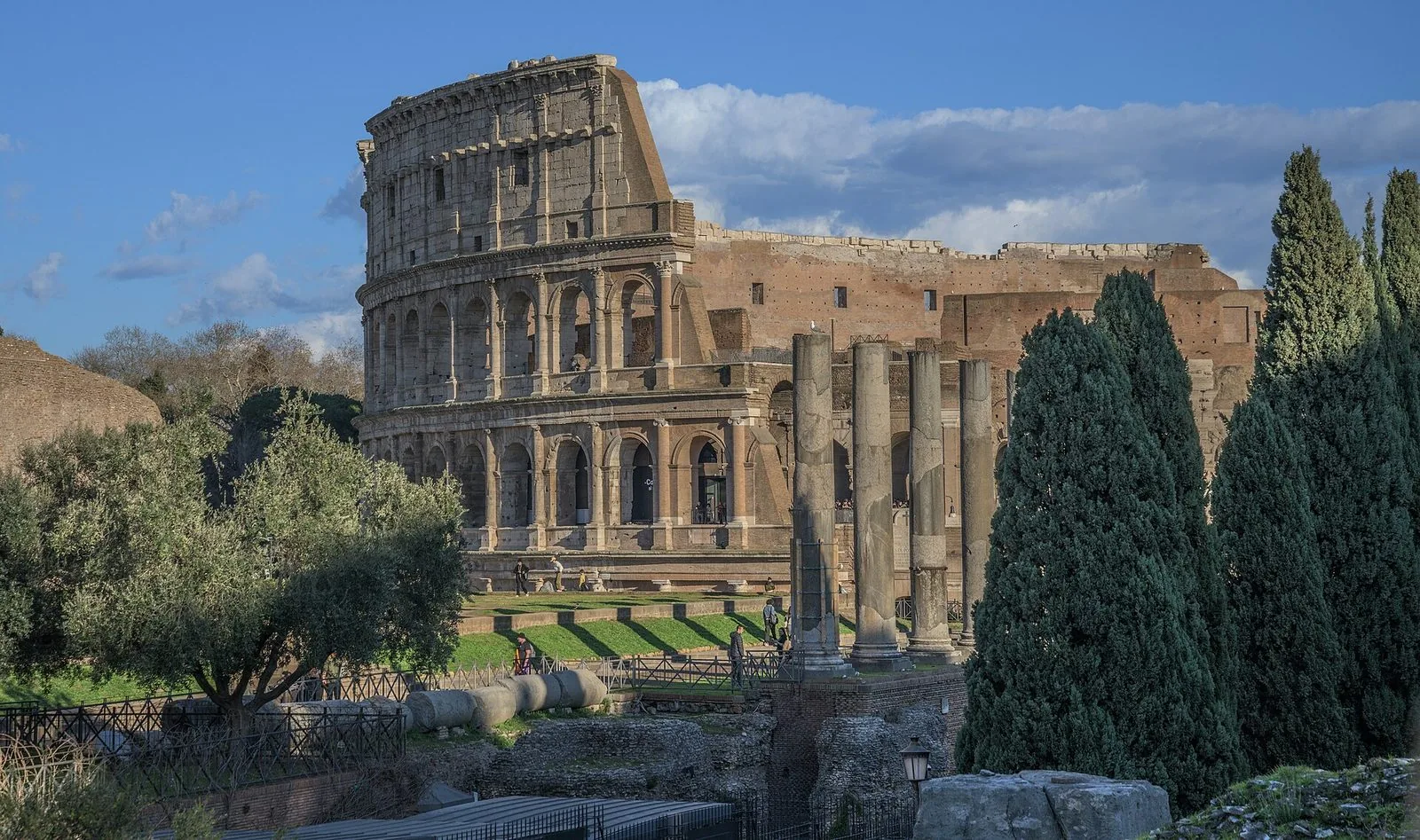 Il Colosseo visto dall'area del Foro Romano, con colonne antiche, cipressi e cielo azzurro